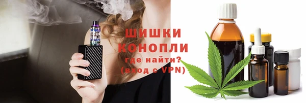 скорость Вяземский
