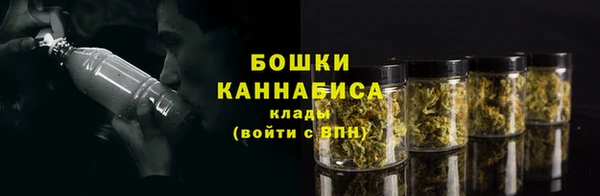 скорость Вяземский