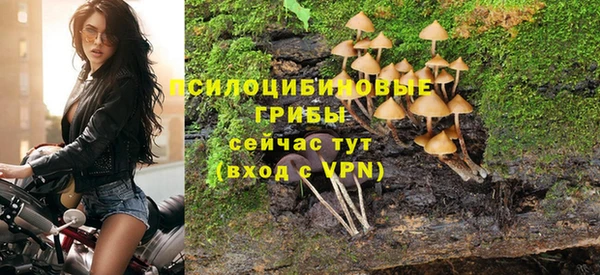 скорость Вяземский