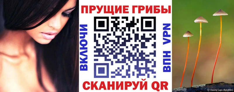 Галлюциногенные грибы ЛСД Копейск